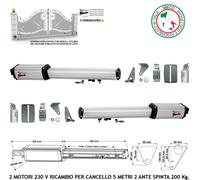 Cancello Elettrico 5 MT 2 Ante Motori 230 V Ricambio Compatibile VDS Fadini Came