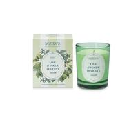 CANDELA 180G LIME/FOGLIE/MENTA