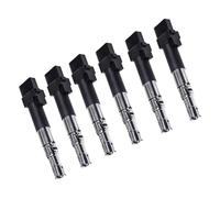 Candela accensione bobina Compatibile Con A3 Per 8P1 3.2 V6 Per Quattro 2003 2004 2005 2006 2007 2008 2009 6 Pezzi Bobina Accensione Auto OEM: 022905100B