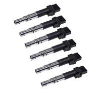 Candela accensione bobina Compatibile Con Per Golf IV 1J1 3.2 R32 4motion 2002 2003 2004 2005 Bobina Accensione Auto 6 Pezzi OEM: 022905100B 022905100E 022905100H