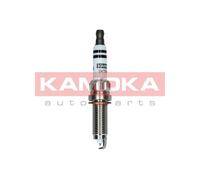 Candela accensione per BMW 1 2 3 4 5 X1 X3 X4 X5 X6 Z4