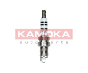 Candela accensione per BMW 1 3 5 6 7 X1 X3 X5 Z4