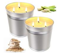 Candela alla citronella per esterni, grande, 2 candele da 15 oz per il giardino, cera di soia naturale, sicura e durevole, candele profumate alla citronella per giardino, campeggio, picnic, durata 100