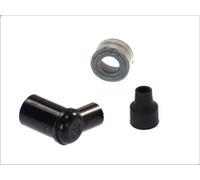 Candela, candela NGK LB05EH 8