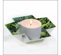 Candela da massaggio VIVALU Tribe, Karitè e Olio di Canapa, Azione riparatrice.