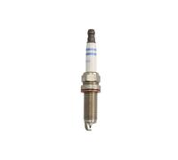 Bosch VAR6SIP, Candele EVO, 1 candela