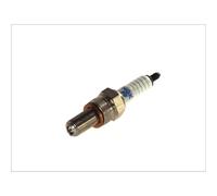 Candela di accensione NGK 5566, 1 Pezzo