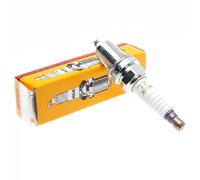 NGK R6601 - 10 Spark Plug