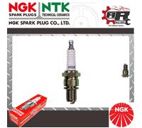 Candela Di Accensione Racing NGK R6918B-9 R6918B9 Numero Di Magazzino 2954