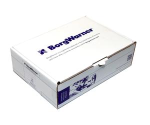Candela di accensione Z522 BorgWarner (BERU)