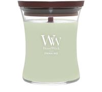 Candela Ecologica Woodwick Ethereal Haze Colore Verde, Marrone offerta trendy co