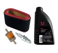 Candela + filtro + olio SAE30 per Stiga Estate Royal Senator Tornado...