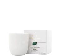 Candela Forest Therapy Associates Aromatherapy 200g