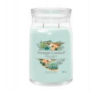 Yankee Candle Candela profumata Praline & Birch 567 g variante Aloe & Agave