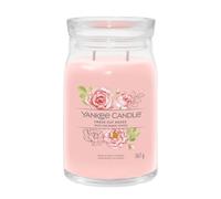 Candela Giara Grande Signature Fresh Cut Roses