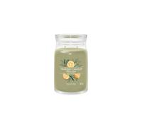 Candela Giara Grande Signature Sage & Citrus