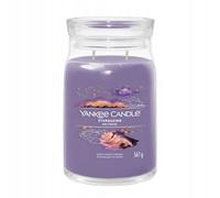 Yankee Candle Candela profumata Praline & Birch 567 g – Stargazing