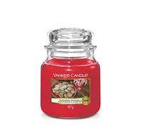 CANDELA GIARA MEDIA PEPPERMINT PINWHEELS YANKEE CANDLE
