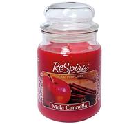 Candela Grande Profumata in Vaso Mela/Cannella 16x10 Cm in Giara Made in Italy 100 Ore