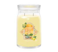 Candela Giara Grande Signature Lemon Gelato | Yankee Candle