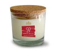 Candela in bicchiere 100% cera vegetale e vegana - Oli essenziali profumati Arancia e Cannella - Mangia odori - Odor Block - Durata 50 ore - Made in Italy - Cereria di Giorgio