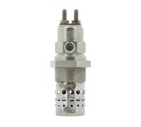 BERU GF529 Candeletta