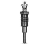BorgWarner (BERU) GV197 Candeletta M18x1,5