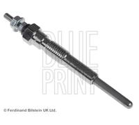 BLUE PRINT Candeletta per TOYOTA ADT31804