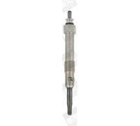 BorgWarner (BERU) Candeletta 11V 16A GN017
