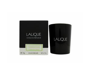 Candela Lalique - Osmanthus Himalaya 0,19 kg