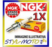 NGK Candela Multicolore