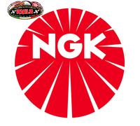 Candela di accensione NGK 6341, 1 pezzo