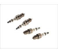 Candela per BOSCH 242 235 913 per MG ZR 1.4 2001-2005