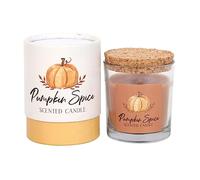 Candela profumata alla zucca speziata, di grandi dimensioni, fragranza di lunga durata, perfetta per relax e atmosfera