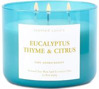 Candela profumata all'eucalipto, agli agrumi e timo, grande candela di soia con 3 stoppini, 450 ml, candela per aromaterapia per relax e sollievo dallo stress, profumo calmante alle erbe termali