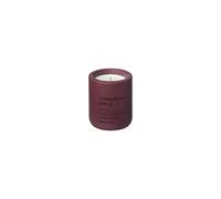 Candela profumata Blomus Fraga, fragranza per ambienti, cemento, porto, fragranza cannella e mela, 66455