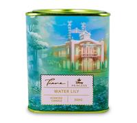 Candela Profumata In Lattina Da 11 Once Disney Princess Home Collection | Tiana