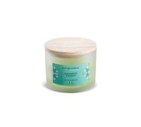Natur Candle Candela profumata Natural Candle Linea Mediterraneo in Cera 100Percentvegetale profumazione bergamotto&basilico gr 380, Multicolore, 380gr
