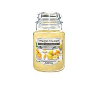 Candela profumata Yankee Candle in giara grande, profumazione citrus spices