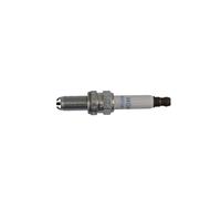 Candela standard NGK 91321