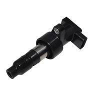 candele bobina accensione auto Compatibile Con Jaguar Per S-TYPE II X200 2.5 V6 2002 2003 2004 2005 2006 2007 Bobina Accensione Auto OEM: 6R8312A366BA