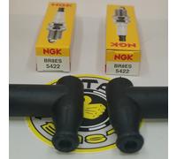 Candele NGK Per Yamaha Banshee E Cappucci Della Bobina Di Accensione