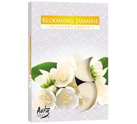 Candele profumate, confezione da 6 pezzi, fragranza: fiori di gelsomino