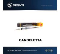 Candeletta D-Power 31 NGK 4187