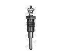 BorgWarner (BERU) GV197 Candeletta M18x1,5