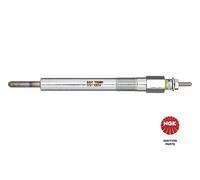 Candeletta - NGK 7995