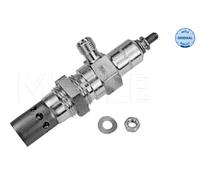 Candeletta per CITROËN FIAT IVECO PEUGEOT RENAULT TRUCKS BOXER DAILY DUCATO JUMP