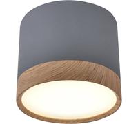 Candellux Tuba lampada da soffitto 1x9 W grigio 2275925