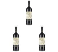 Candido Salice Salentino riserva “La Carta” Doc - 750 ML (Confezione da 3)