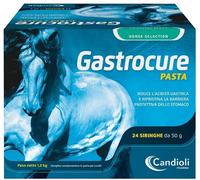 candioli Gastrocure 24 siringhe preriempite mangime complementare in pasta cavalli